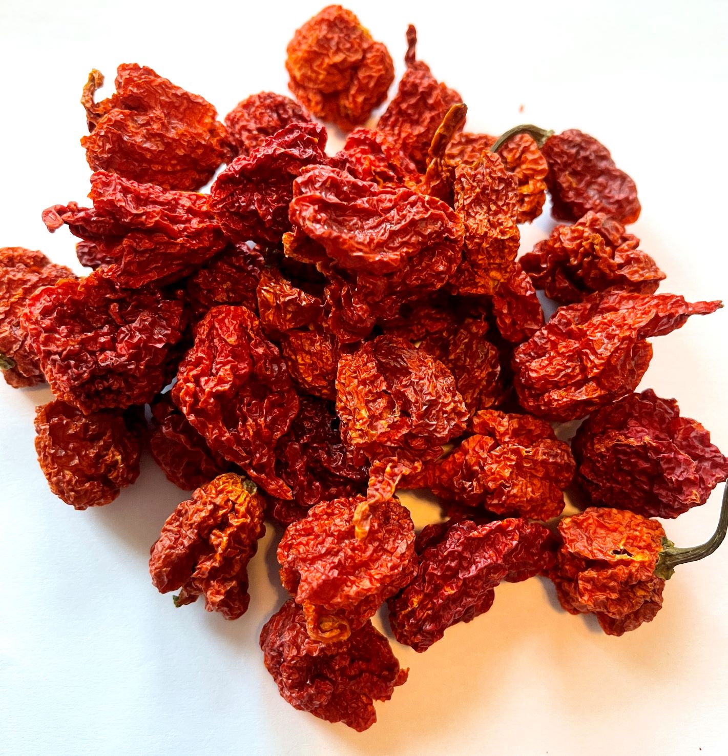 Dried Carolina Reaper Pepper Extremely Spicy GoldenTLeaf