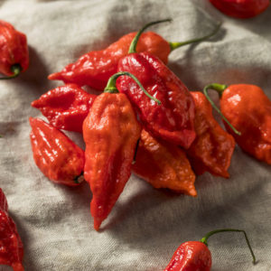 Ghost Pepper (Bhut Jolokia Ghost Pepper) 25g